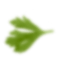 rev_h48-3.png